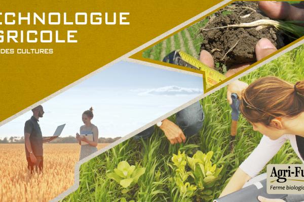 Technologue agricole